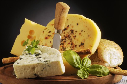 Бізнес-ідея : як приготувати сир в домашніх умовах на продаж
